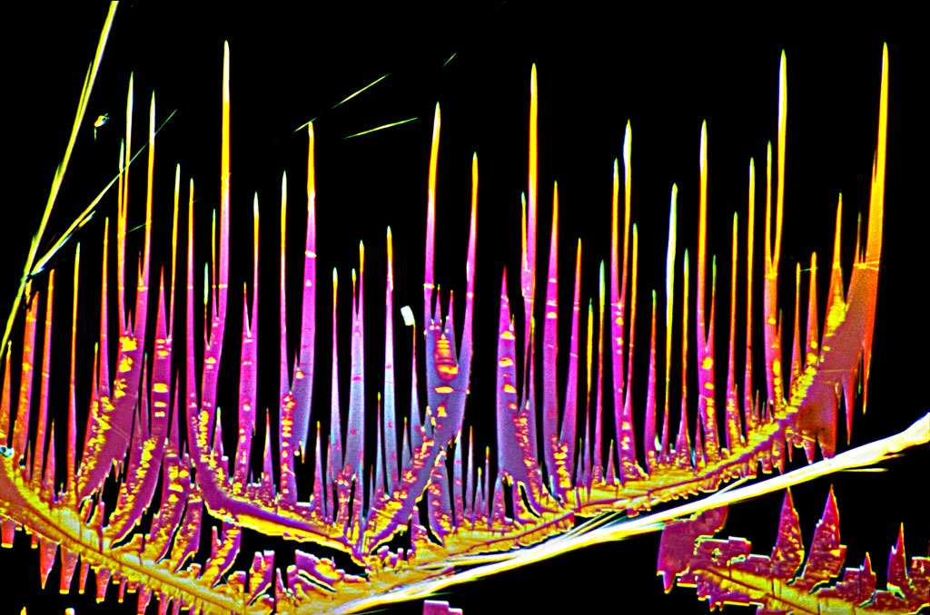 Caffeine Crystals, Electron Microscope Photograph Dennis Kunkel