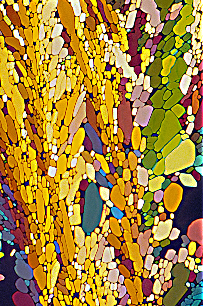 Progesterone Crystals, Electron Microscope Photograph Dennis Kunkel