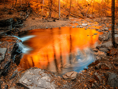 Michigan Stream in Autumn Blaze Todd Bielby