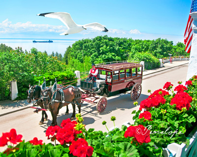 A Trot in Time, Mackinac Island Penny Faber Milliman
