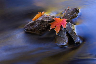 Fall Color on the Rocks John Flemming