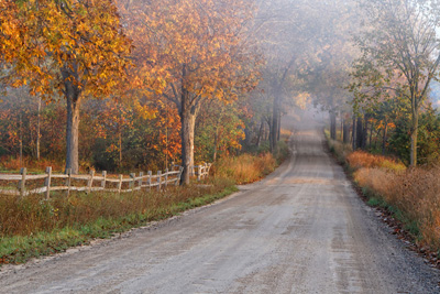 Country Road in Autumn Stacy Niedzwiecki