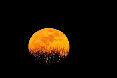 Super Moon Todd and Brad Reed Photography