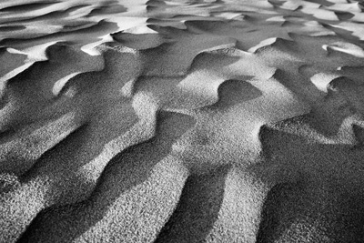 Sand Waves Todd and Brad Reed Photography