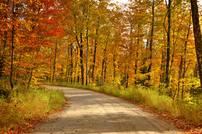 Autumn in Michigan