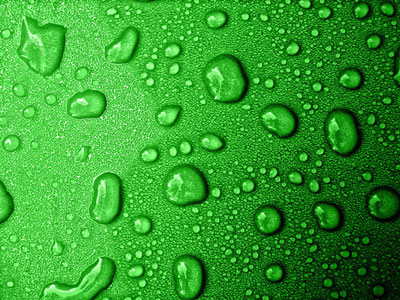 Water Droplets on Green