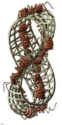 Moebius Strip II, M.C. Escher