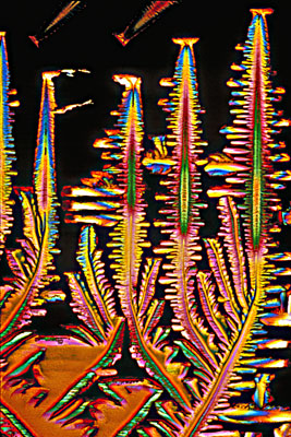 Pyrogallic Acid Crystals, Electron Microscope Photograph Dennis Kunkel