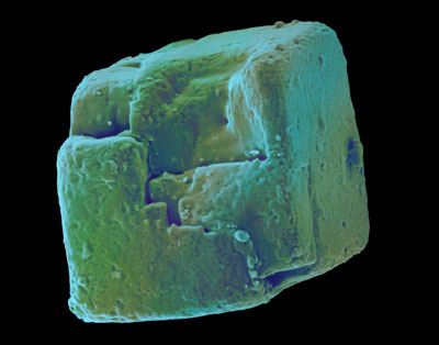 Table Salt (sodium chloride, NaCl), Electron Microscope Photograph Dennis Kunkel