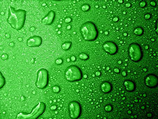 Green With Water Droplets