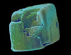 Table Salt Crystal (NaCl)