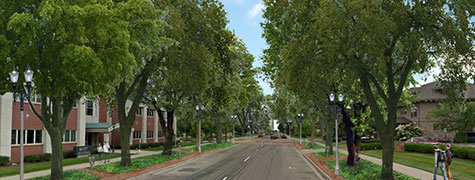 Artist rendering Capitol avenue with adult trees along the side of the road