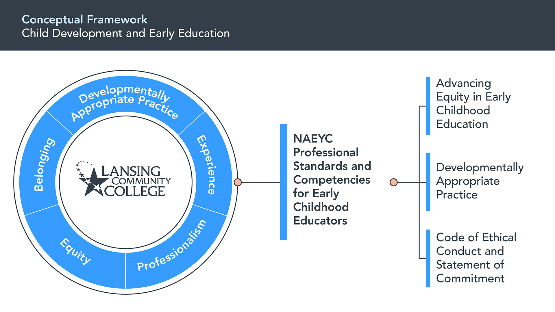 conceptual framework chart