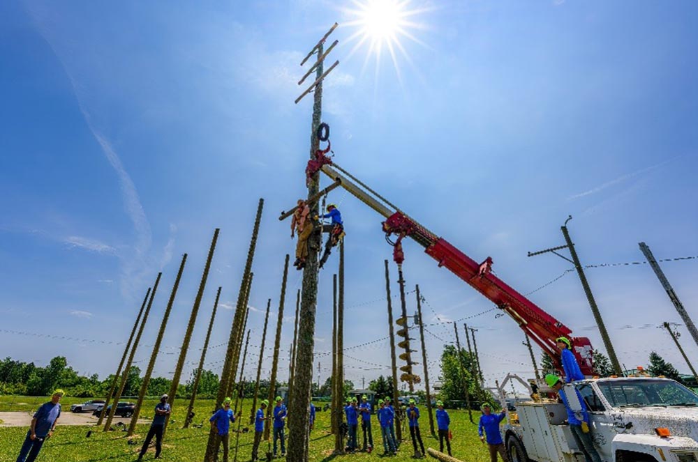 students on utility poles