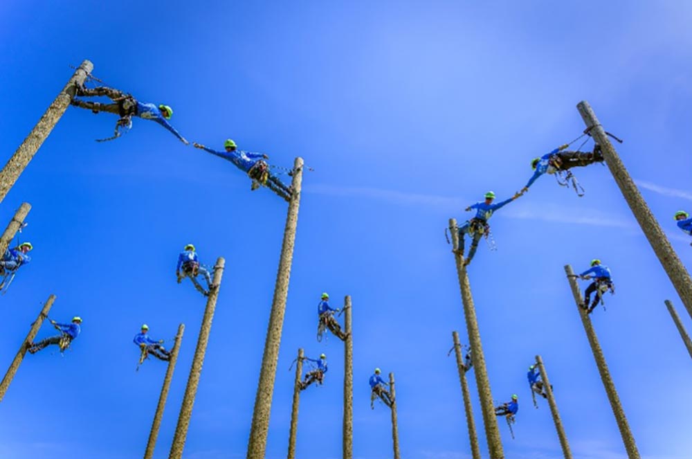 students on utility poles