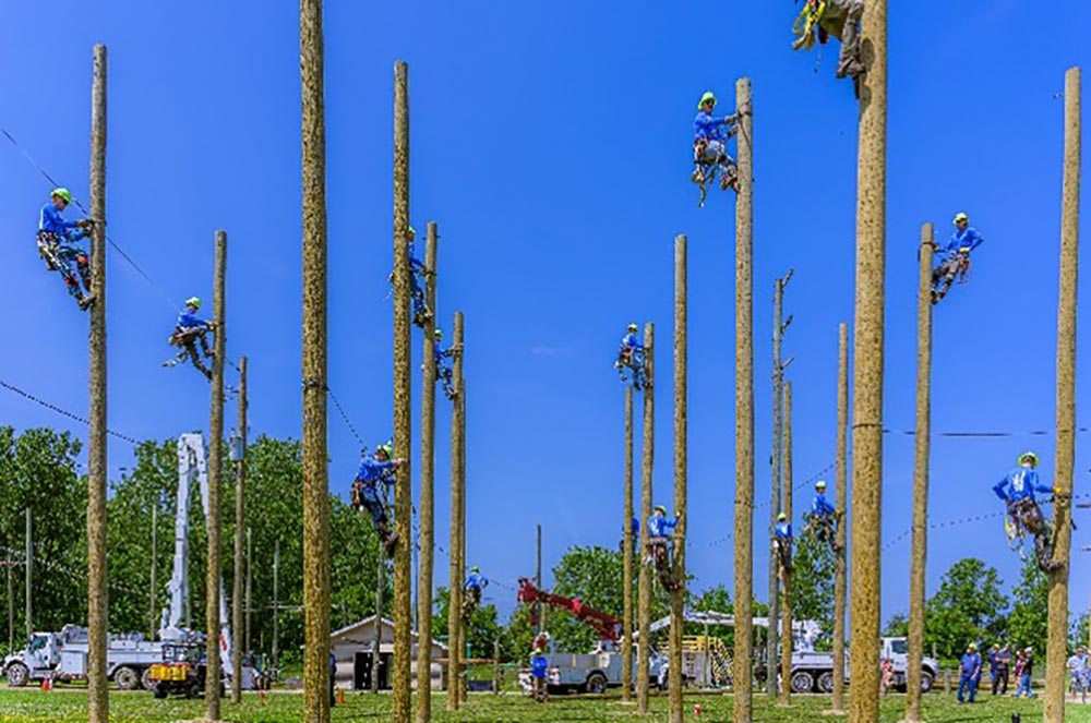 students up on utility poles