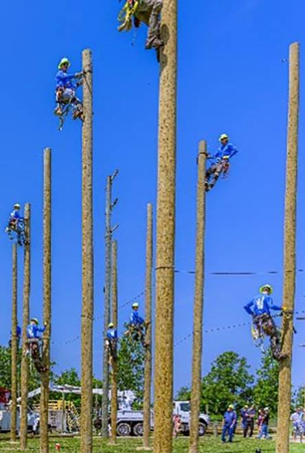 students on utility poles