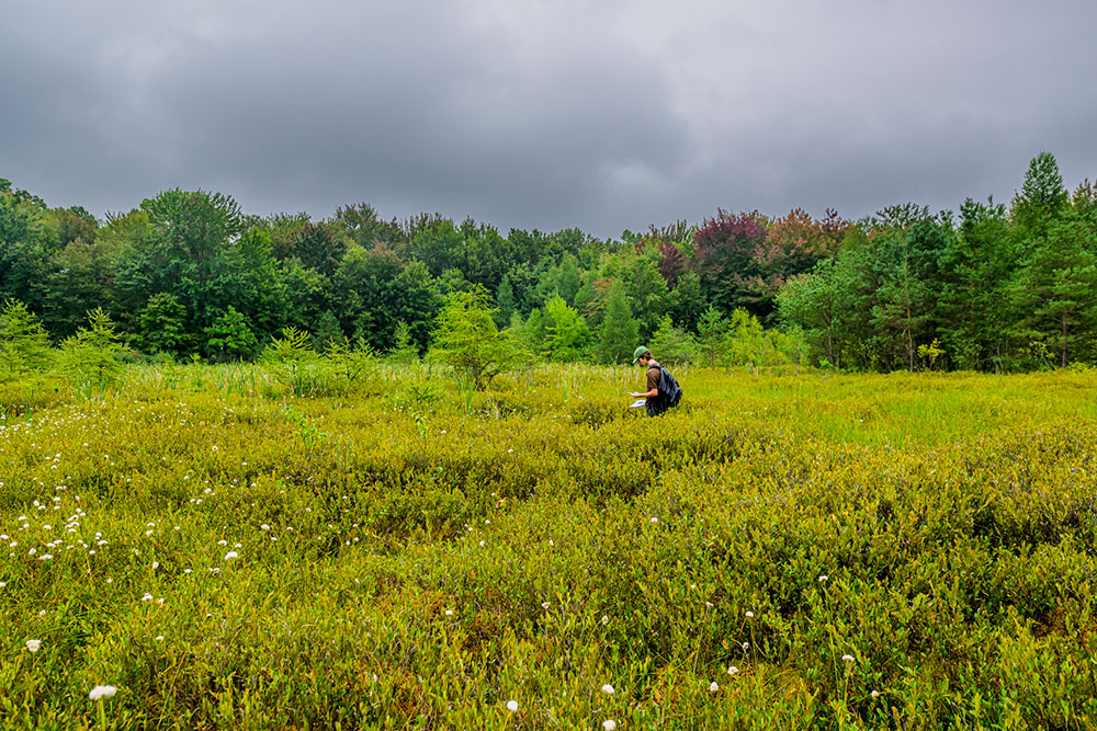 a student walking in a grass field
