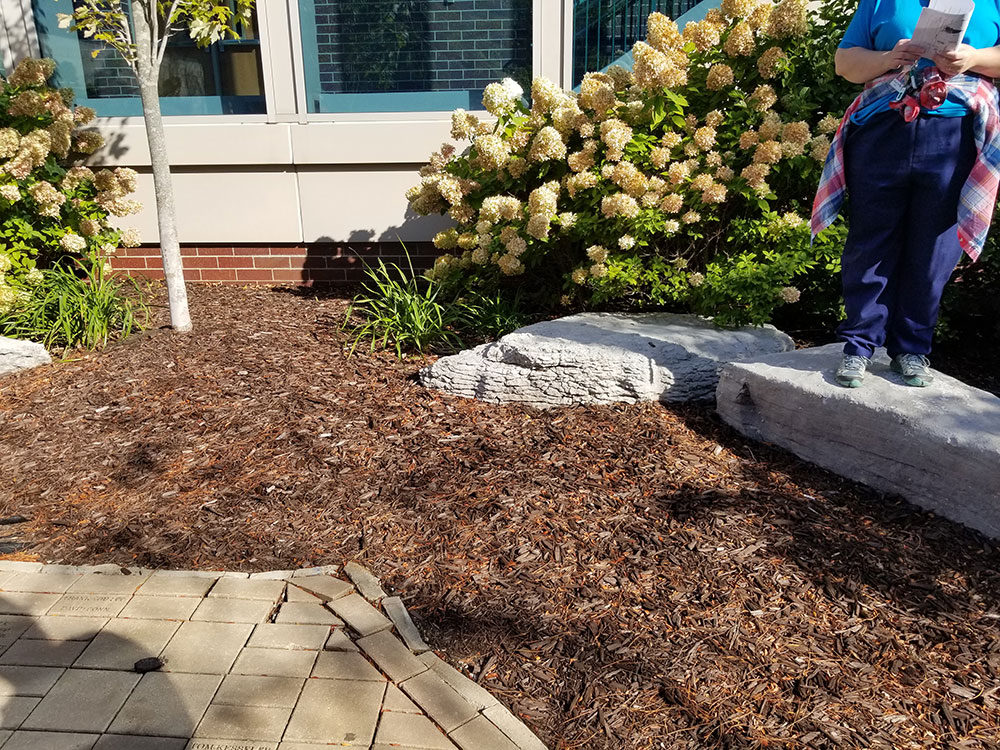 geology class photos - campus landscapes