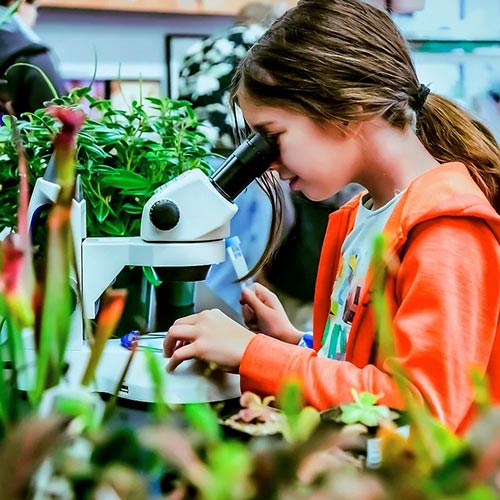 Student looking into a microscope