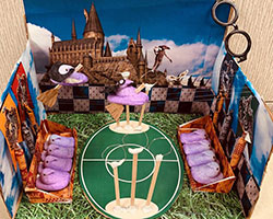 Harry Peepers – Quidditch World Cup