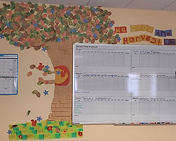 Grow and Harvest Stars: Academic Affairs