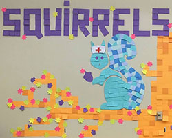 Squirrels Go Nuts for HHS: HHS